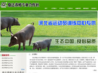 鼎達養(yǎng)殖專業(yè)合作社